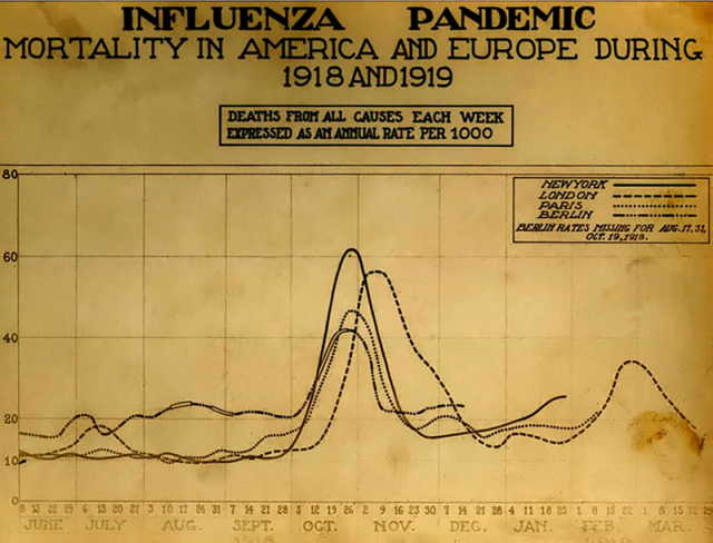 Spanishflu